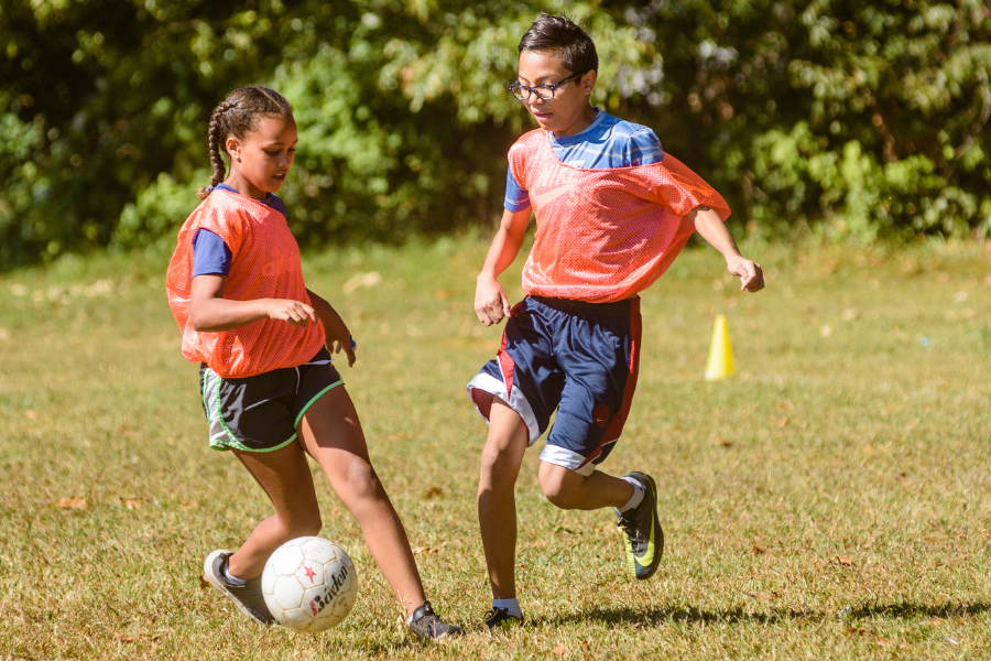 Booked for Summer - Health and PE